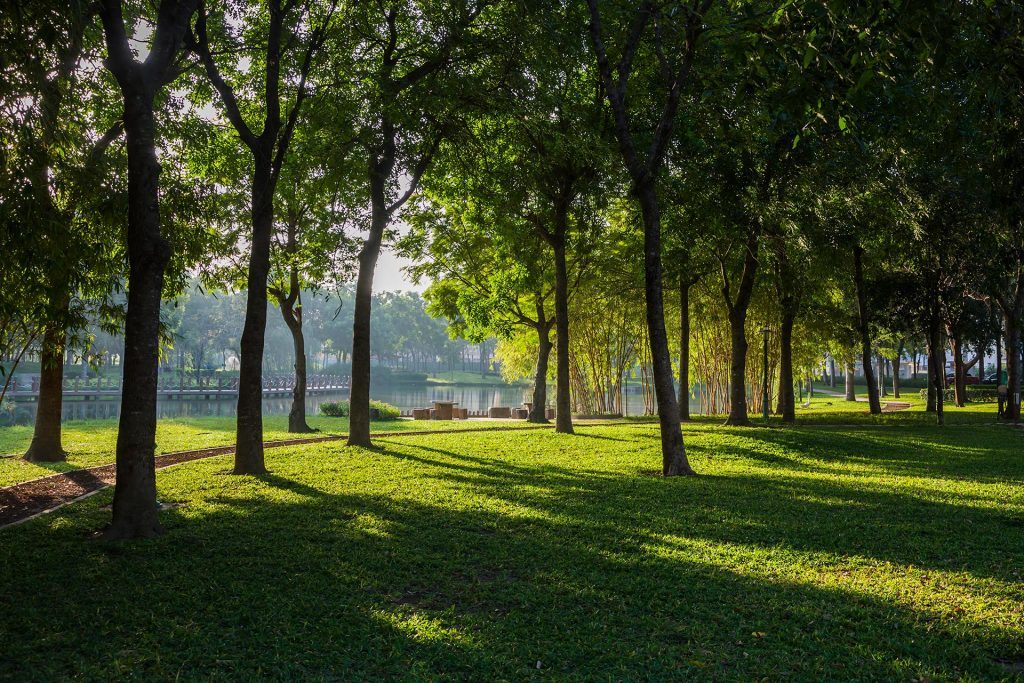 Hình ảnh tiện ích Artisan Park - Công viên cây xanh giữ lòng dự án